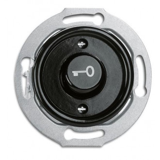 Black bakelite pushbutton switch