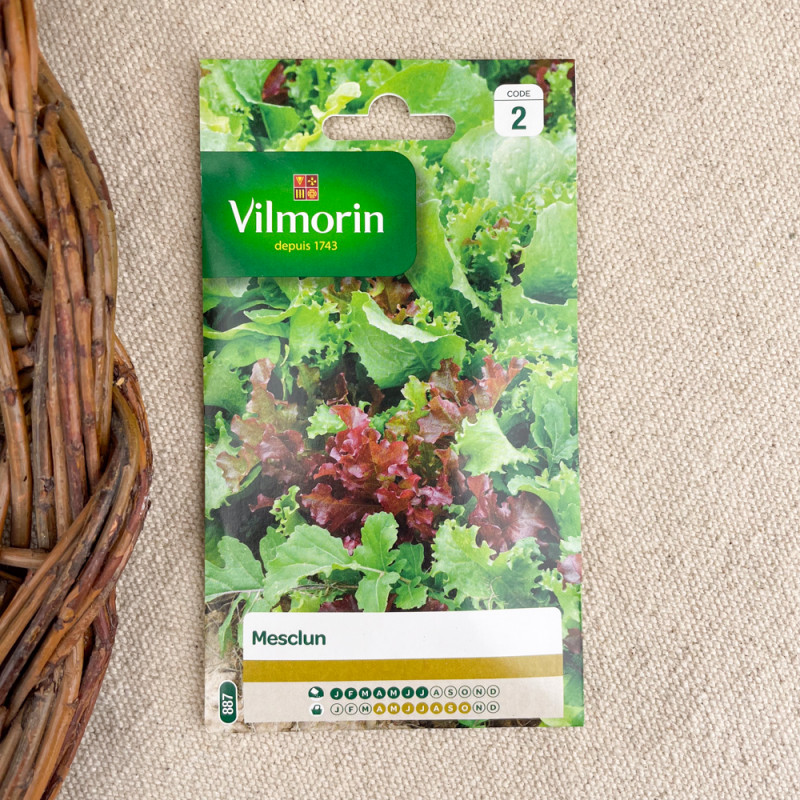 mesclun seed