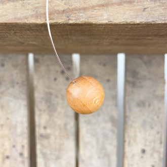 Pendulum Boat