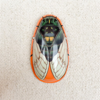 Cicada Click Click