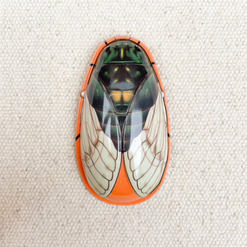 Cicada Click Click