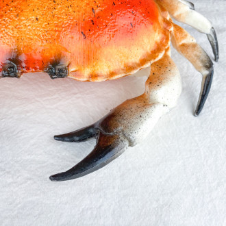 Decorative fish crab