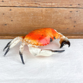 Decorative crab shell