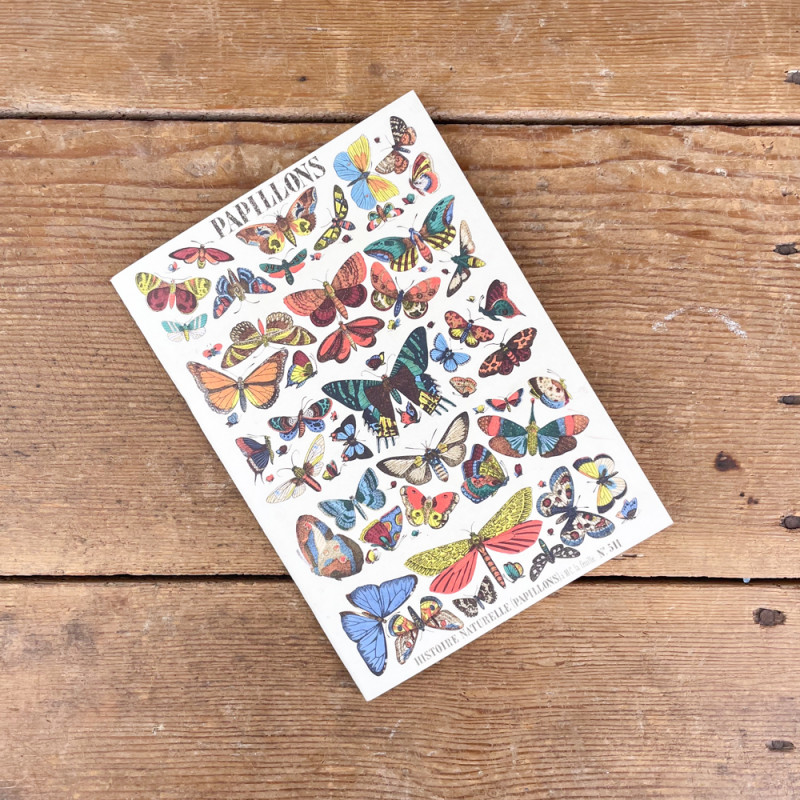 A5 butterfly notebook
