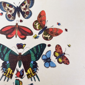A5 butterfly pattern notebook letterbox