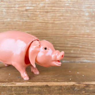 nodding pig