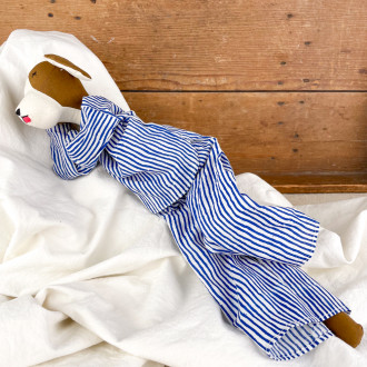 Rag doll dog in pyjamas