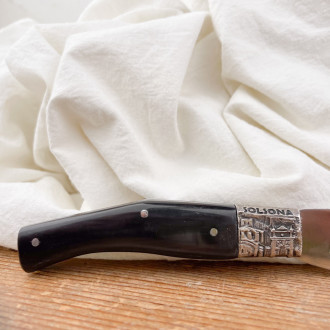 Buffalo horn and silver knife