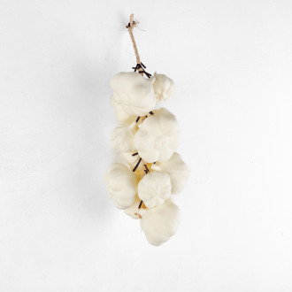decoration Cloves of garlic