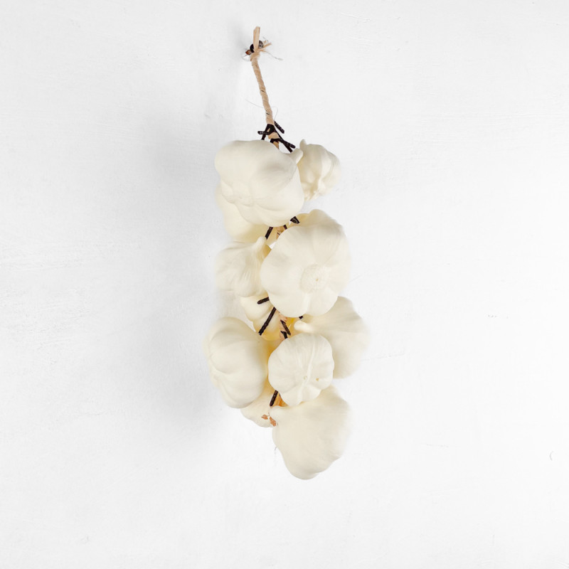 decoration Cloves of garlic