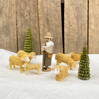 Shepherd and his flock
