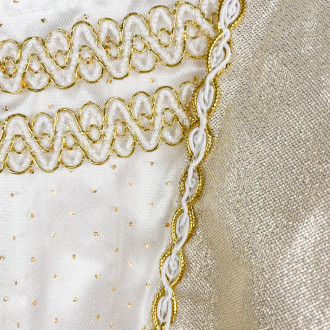 Golden princess dress disguise with cape