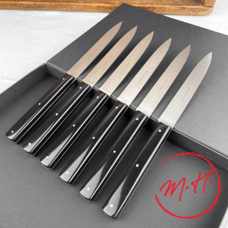 Set of 6 Richelieu black table knives