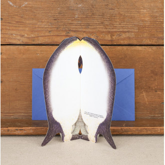 Cartes pingouin 3D