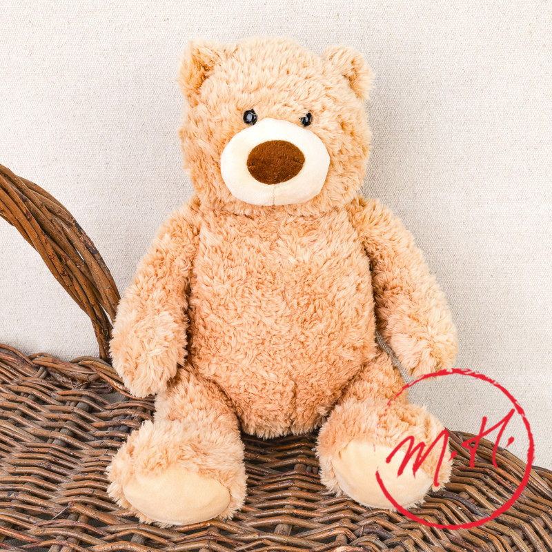 Teddy bear