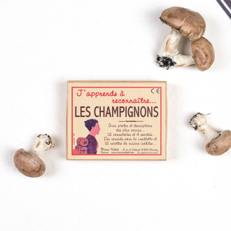 Learn to recognize mushrooms