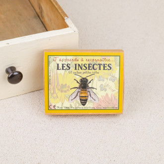 I'm learning to recognize insects