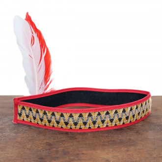 Indian costume with feather headdress