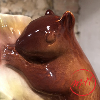 Squirrel pitcher