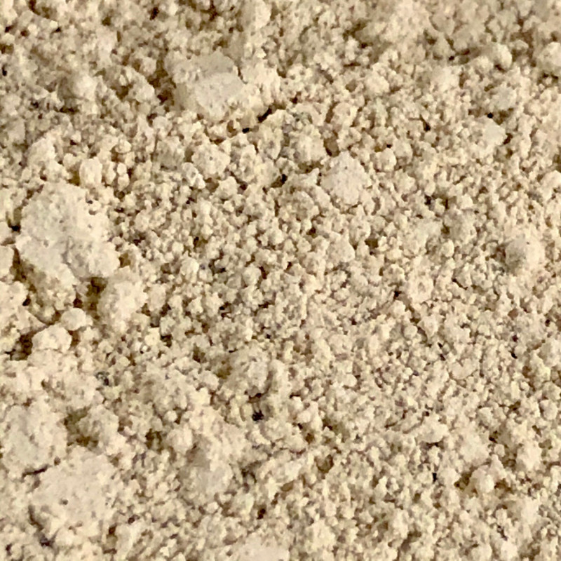 powdered dnetifrice refill
