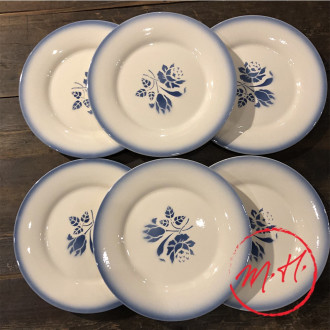 6 blue dinner plates