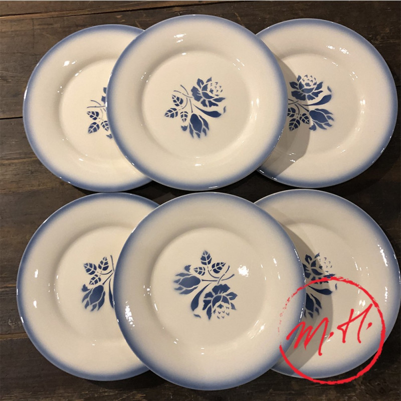 6 blue dinner plates
