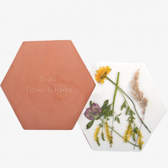 Microwave flower and herb press