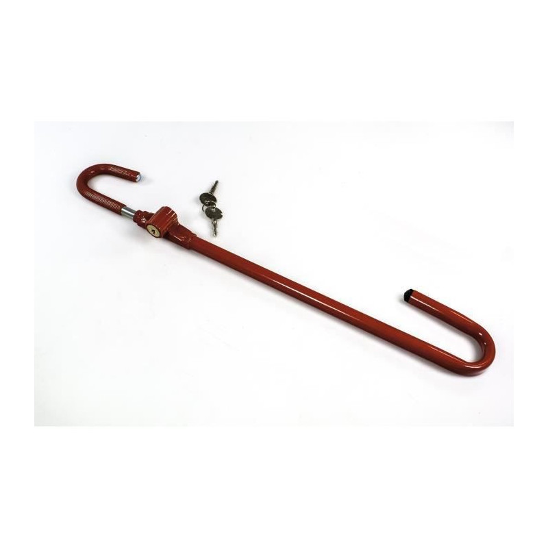 Anti-theft car cane