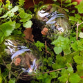2 pierres d'eau en verre