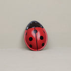 Coccinelle clac-clac
