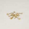 Lot de 10 attaches parisiennes