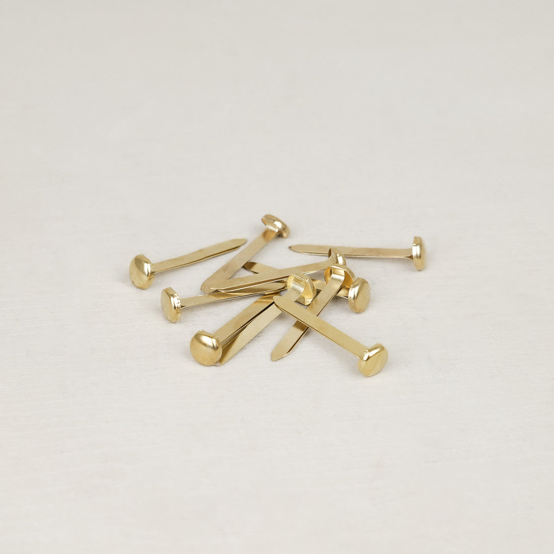 Lot de 10 attaches parisiennes