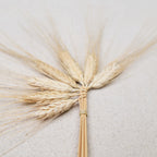 Épis tressés de la Saint Jean