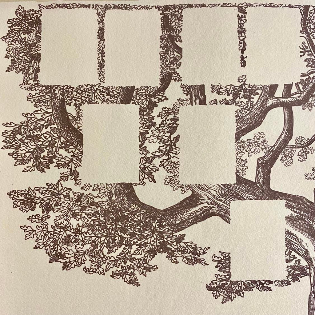 Arbre généalogique