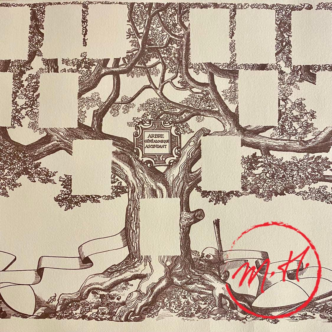 Arbre généalogique