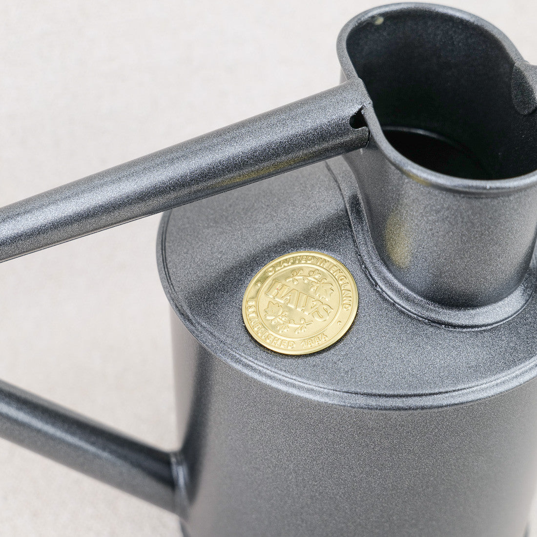Arrosoir d'intérieur en métal pailleté 1 litre