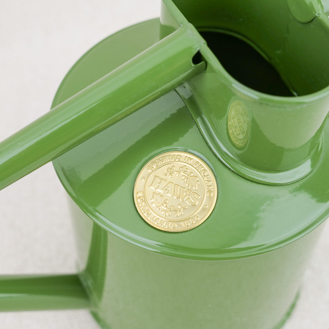 Arrosoir d'intérieur en métal vert 1 litre