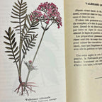 Atlas de poche