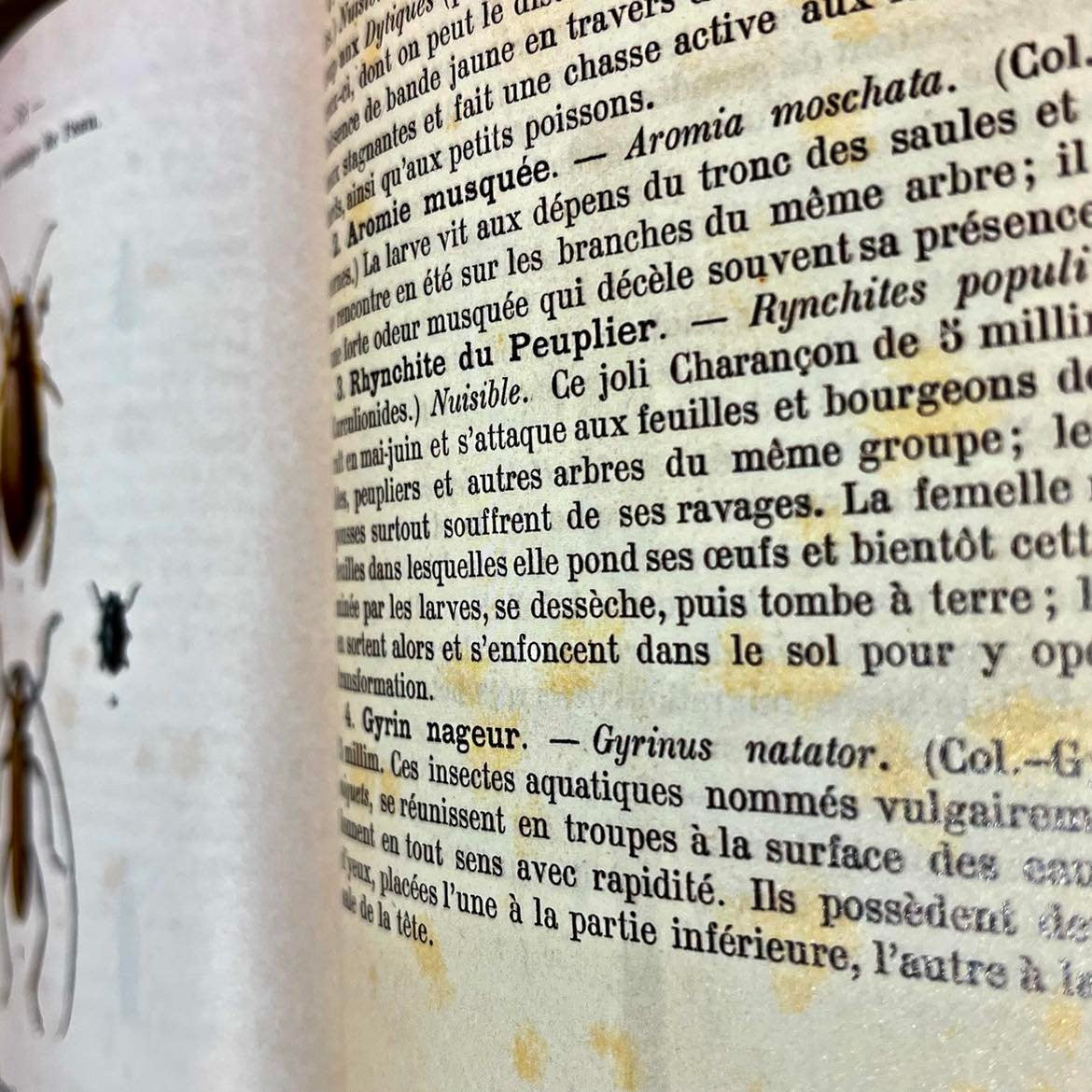 Atlas de poche