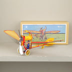 Avion Ikarus