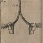 Baguette de sourcier