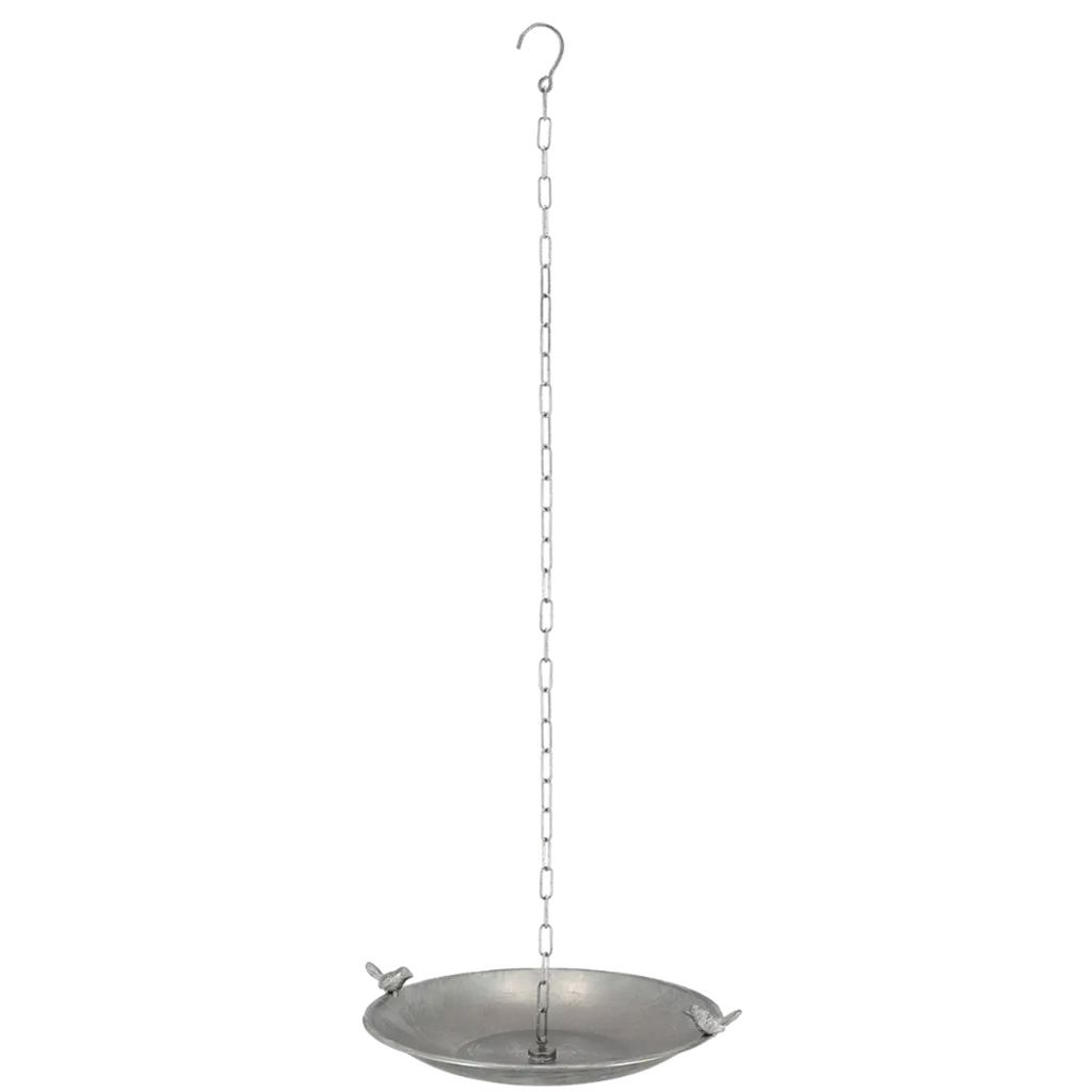 Bain de pluie pour oiseaux