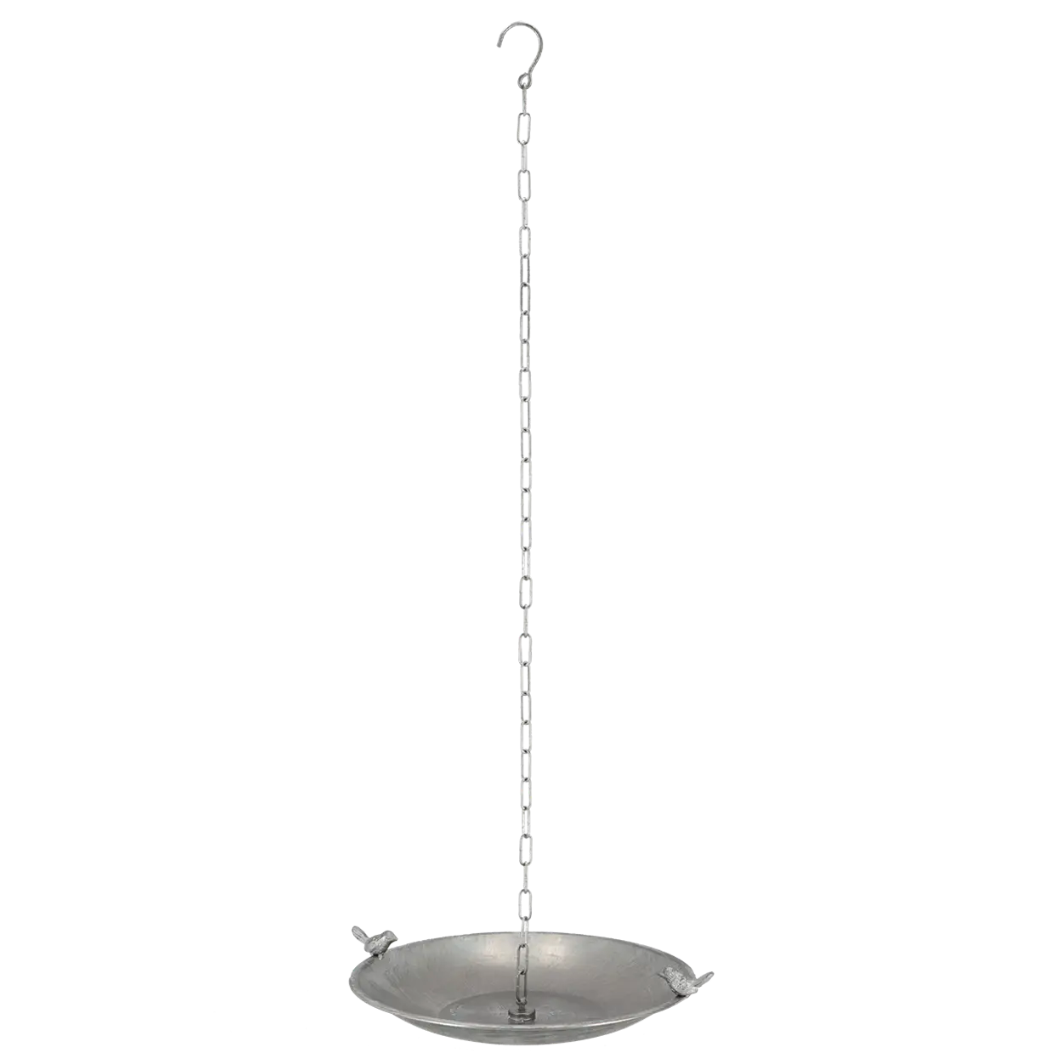 Bain de pluie pour oiseaux