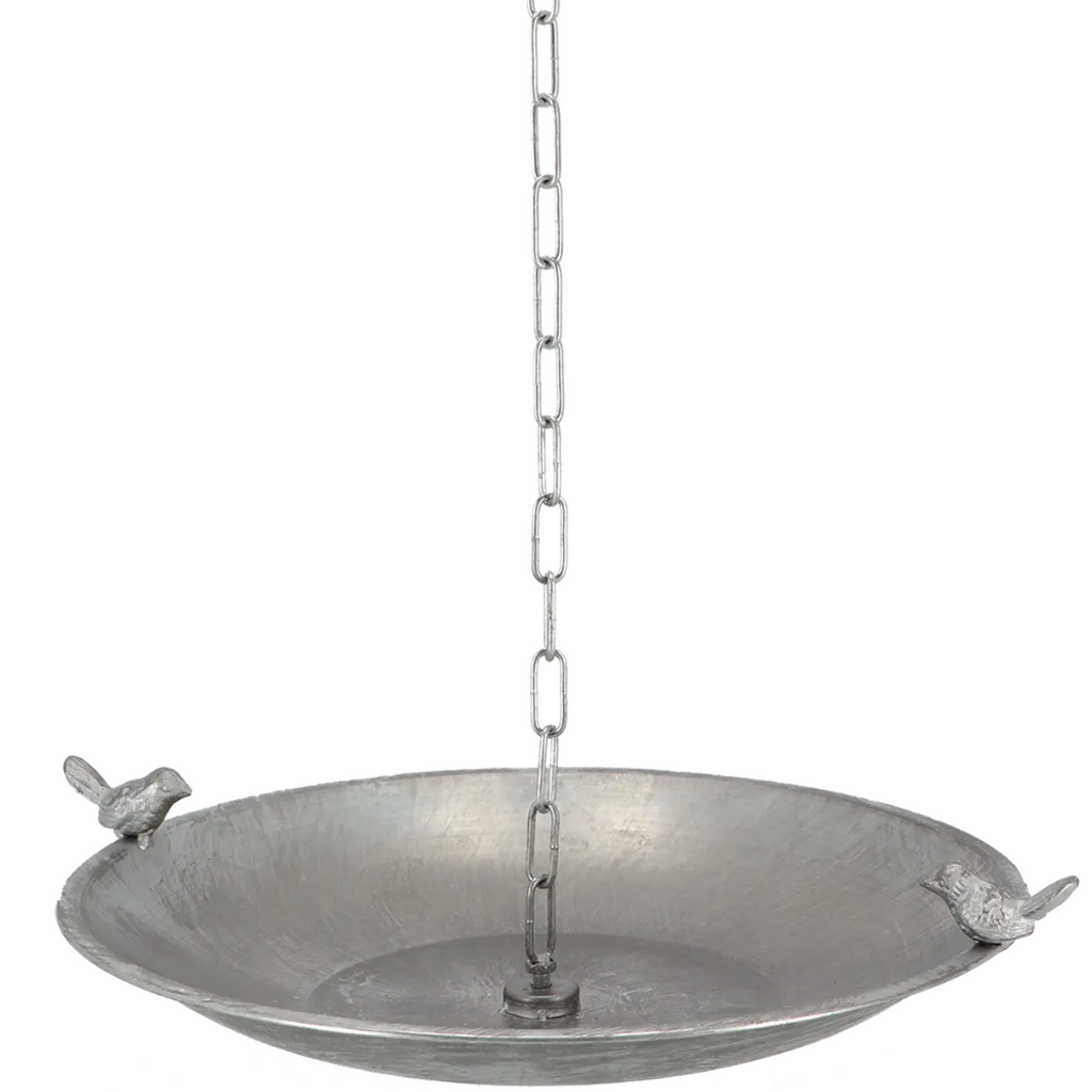 Bain de pluie pour oiseaux