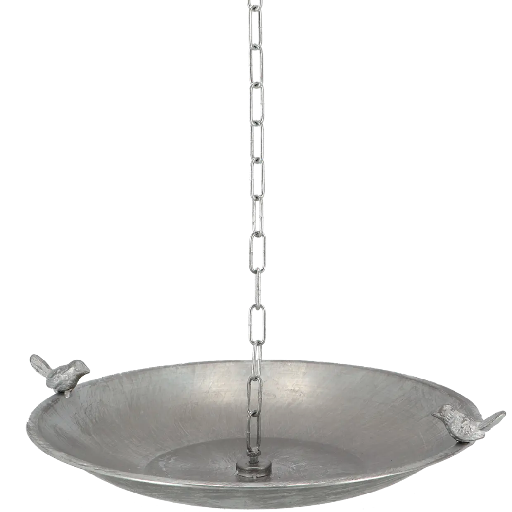 Bain de pluie pour oiseaux