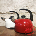 Bouilloire siffleuse 2L en émail