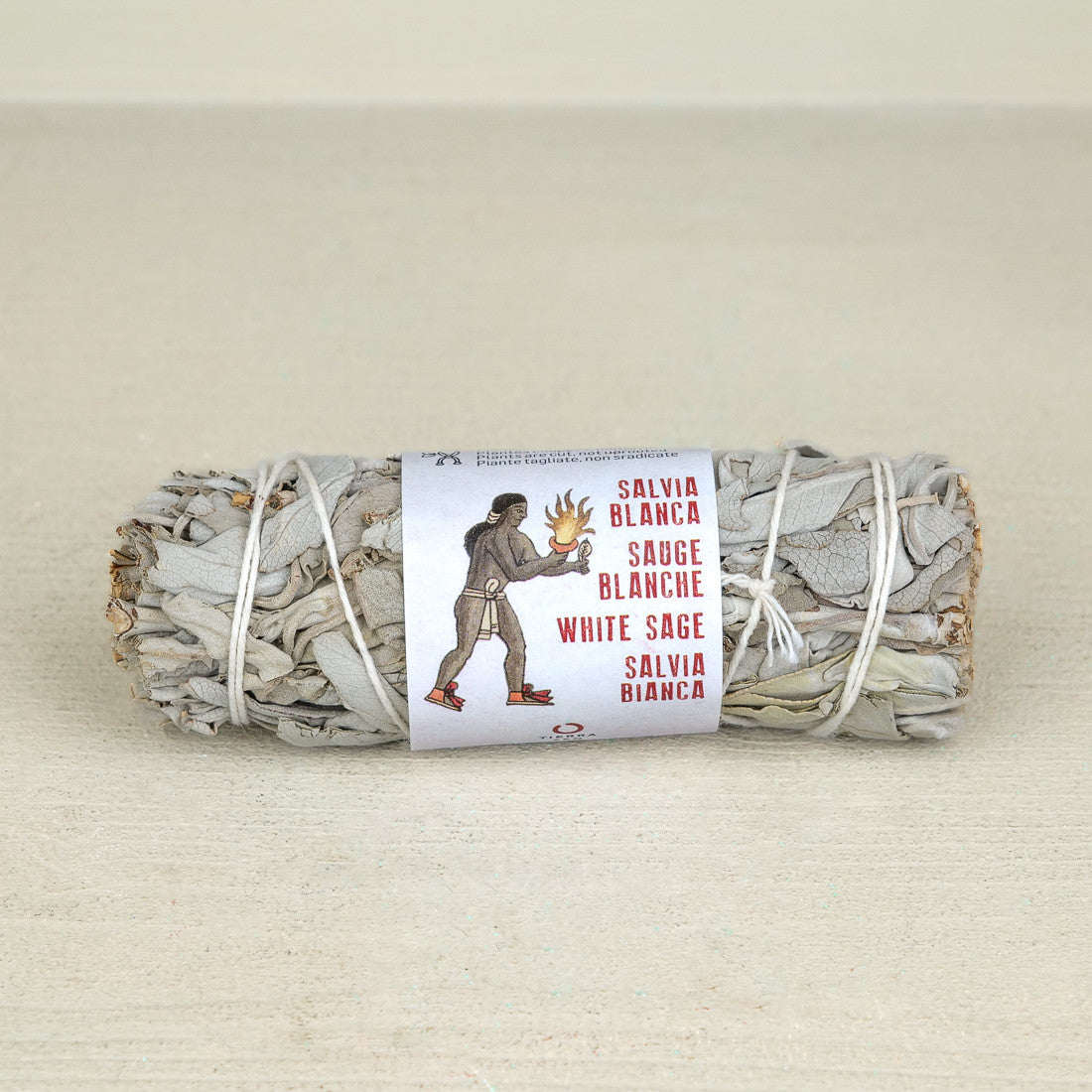 Bouquet de Sauge Blanche à brûler