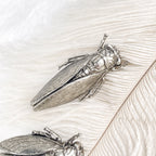 Broche cigale vieil argent