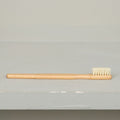 Brosse à dents bois et soie