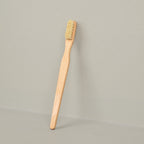 Brosse à dents bois et soie